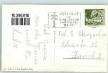 3000 Bern Berne - Barenmutter mit Jungen