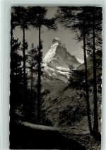 Zermatt Waldausblick bei Zermatt mit Matterhorn
