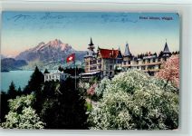 Weggis Hotel Albana blühende Bäume