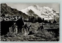 Wengen Jungfrau