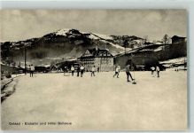 Gstaad Eisbahn Hotel Bellvue