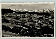 Goldiwil