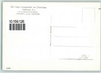 Au ZH Zürichsee