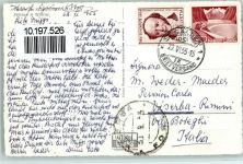 9000 St. Gallen S. Gallo 1955 - Voliere im Stadtpark Pelikan Störche