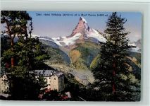 3920 Zermatt - Hôtel Riffelalp et le Mont Cervin Bäume