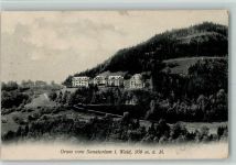 Wald ZH 1908 Sanatorium