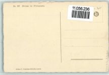 6600 Locarno - Nr. 36 Brione in Primavera E. Zuppinger