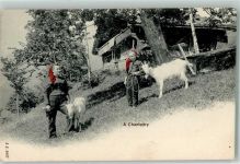 1874 Champéry - Bauernfrauen mit Ziegen