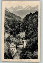 9650 Nesslau 1914 - Thurpartie mit Churfirsten