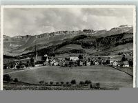 Stein AR Alpstein