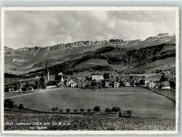 Stein AR Alpstein