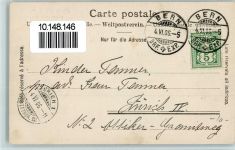 Bern 1906 Bärengraben Bären