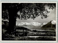 Thun
