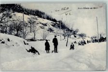 Le Mont-Pèlerin Schlitteln