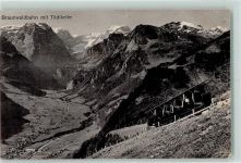Braunwald