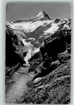 Grindelwald Gr. Schreckhorn Oberer Grindelwaldgletscher