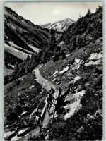 Maderanertal mit Bristenstock