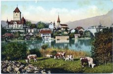 um 1910/20 Spiez am Thunersee. K: Bern. Schweiz Nr. 165.,Chr. Brennenstuhl AKU2