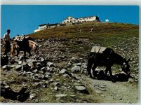 Faulhorn - Hotel Faulhorn Maultierpost