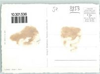 8853 Lachen SZ Gebrauchsspuren Fliegeraufnahme