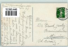 3860 Meiringen 1917 - Straße Brünig Hasliberg Grimsel Pferdewagen