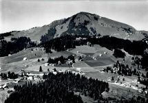 8873 Amden - Arvenhöhe, Gulmen