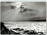 8000 Zürich 1963 - Seegfrörni