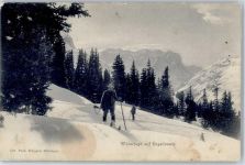 3860 Meiringen 1906 - Winterjagd Skifahrer Engstlenalp