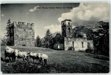 7430 Thusis - Ruine Hohen Rätien Kühe