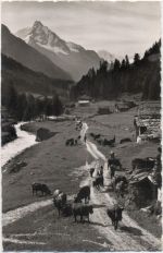 1960 - Mottec pres Zinal, le Besso,Gyger & Klopfenstein AKU2