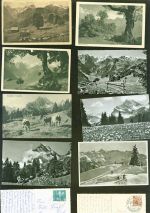 8784 Braunwald Kleinposten bis 20 Lot mit 17 AK