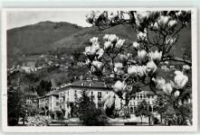 6600 Locarno - Hotel Regina AKU1