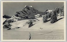 8784 Braunwald - Winter auf Braunwald mit Ortstock und hoher Turm AKU1