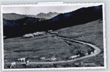 1884 Villars-sur-Ollon - Taveyannaz AKU2