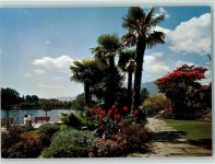 6600 Locarno - Palmen Promenade AKU1