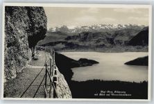 6410 Rigi Klösterli - Felsenweg bei Rigi First, Vierwaldstättersee AKU2