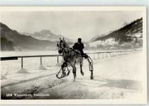 7500 St. Moritz - Wintersport Trabfahren Pferd