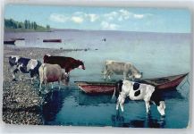 1200 Genève Genf - Kuh, Rives du Leman AKU2