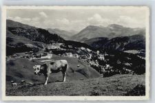 7050 Arosa - Kuh, Gesamtansicht AKU2