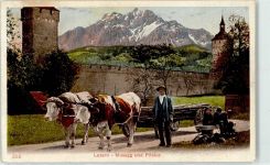 6000 Luzern Lucerne Lithographie / Künstlerkarte Musegg und Pilatus