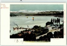 8802 Bendlikon Lithographie / Künstlerkarte Hotel Löwen Dampfer Anlegestelle