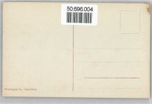 1200 Genève Genf Gebrauchsspuren Rhone, Brücke, Rouseau-Insel AKU2