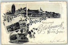 8704 Herrliberg 1899 Lithographie Hotel zum Raben