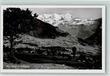 3703 Aeschi b. Spiez - Blümlisalp Baum