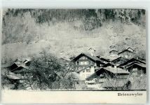 3856 Brienzwiler