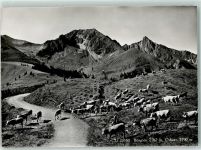 1722 Bourguillon Gebrauchsspuren Kuhherde