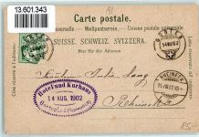 9108 Gonten 1902 Lithographie Gämse