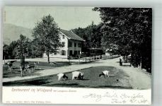 8135 Langnau am Albis 1903 Foto AK Ziege Gasthaus im wildpark