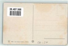 8804 Au ZH - Halbinsel