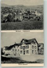 8344 Bäretswil 1914 - Partie Oberdorf